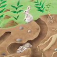 Natura